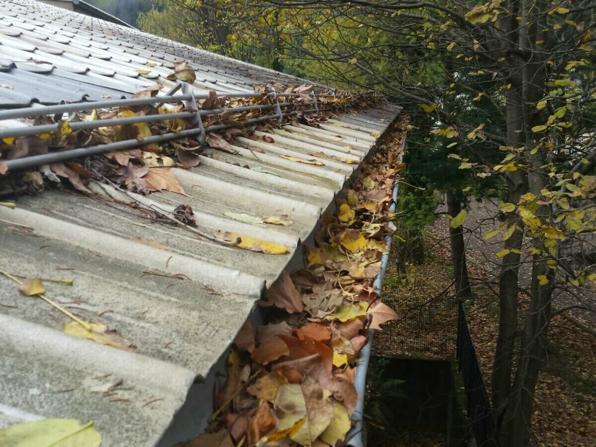 Verschmutzte Dachrinne - Reinigung von PREFA Rinnen Dachrinne mit viel Herbstlaub, verstopfte Rinnen reinigen